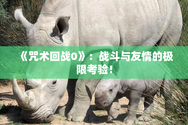 《咒术回战0》：战斗与友情的极限考验！
