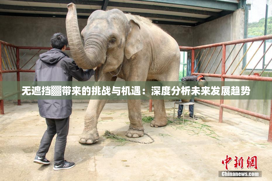 无遮挡▓带来的挑战与机遇：深度分析未来发展趋势