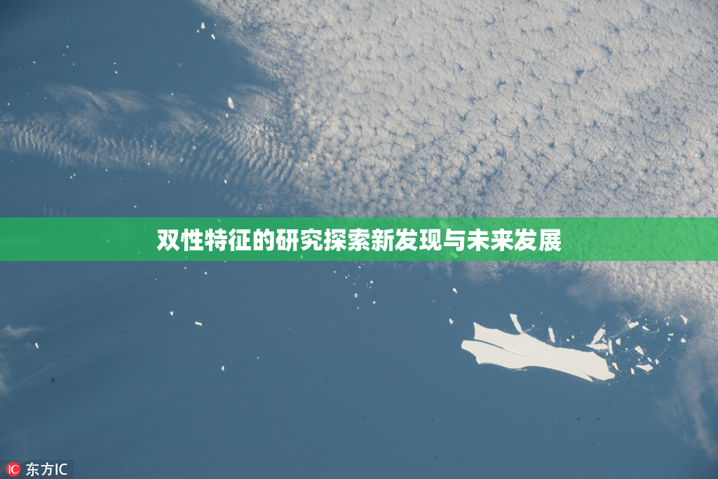 双性特征的研究探索新发现与未来发展
