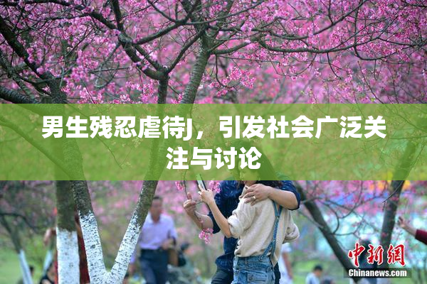 男生残忍虐待J，引发社会广泛关注与讨论