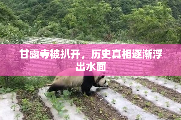 甘露寺被扒开，历史真相逐渐浮出水面