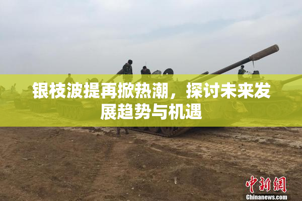 银枝波提再掀热潮，探讨未来发展趋势与机遇