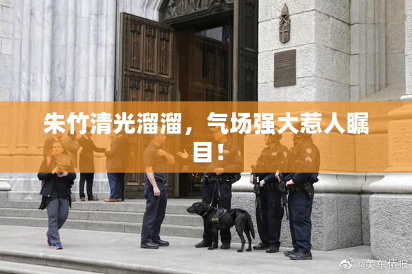 朱竹清光溜溜，气场强大惹人瞩目！