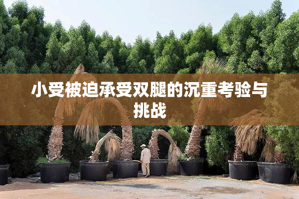 小受被迫承受双腿的沉重考验与挑战