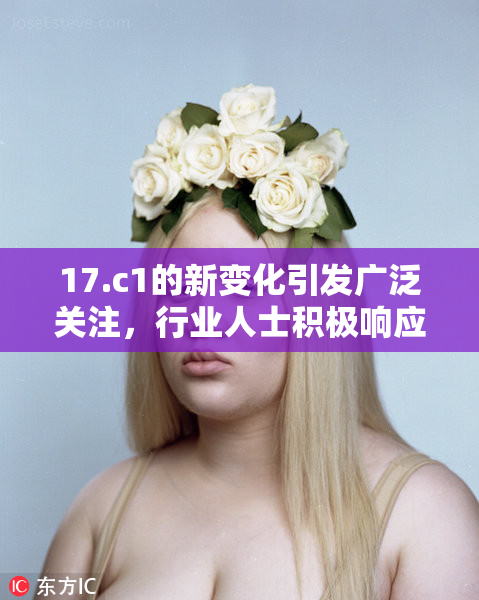 17.c1的新变化引发广泛关注，行业人士积极响应