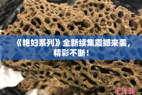 《艳妇系列》全新续集震撼来袭，精彩不断！