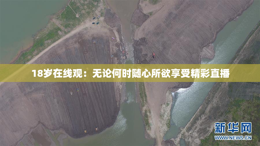 18岁在线观：无论何时随心所欲享受精彩直播