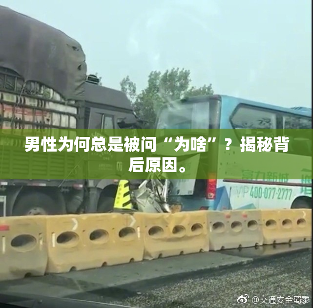 男性为何总是被问“为啥”？揭秘背后原因。