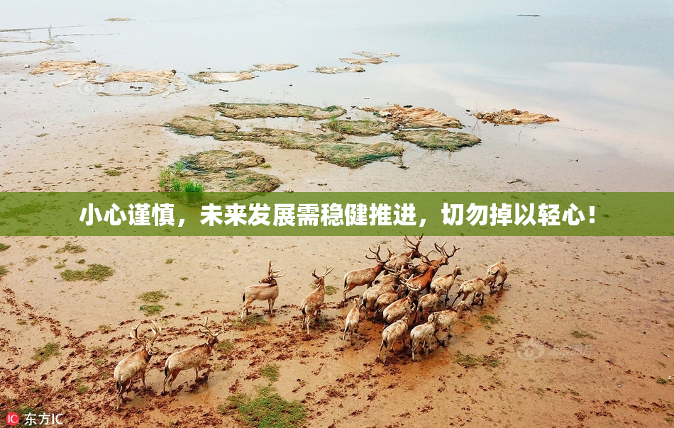 小心谨慎，未来发展需稳健推进，切勿掉以轻心！