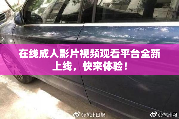 在线成人影片视频观看平台全新上线，快来体验！