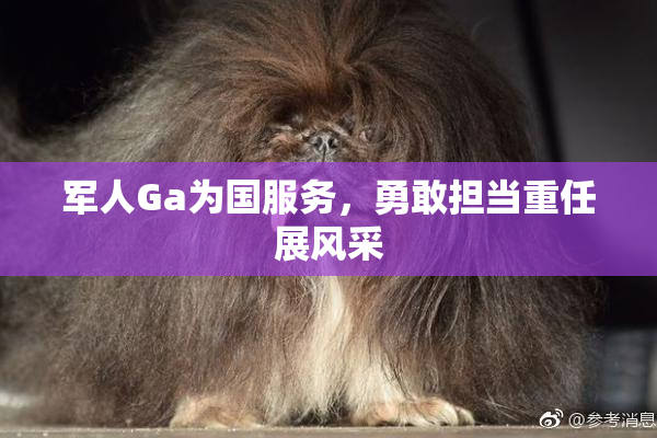 军人Ga为国服务，勇敢担当重任展风采