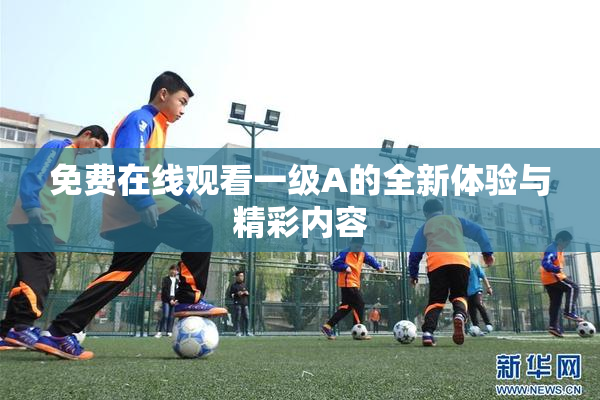 免费在线观看一级A的全新体验与精彩内容