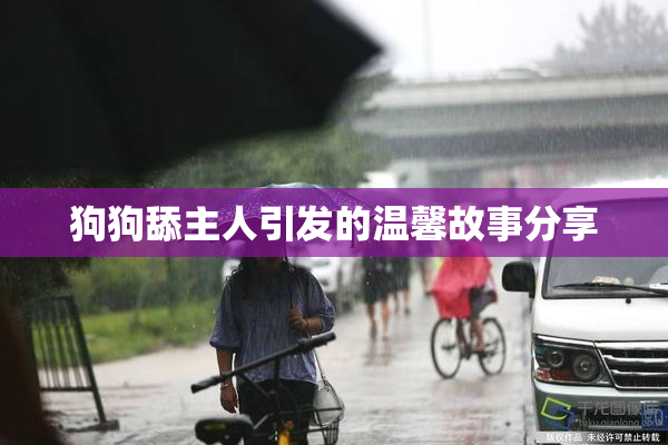 狗狗舔主人引发的温馨故事分享
