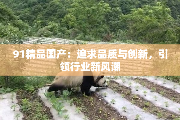 91精品国产：追求品质与创新，引领行业新风潮