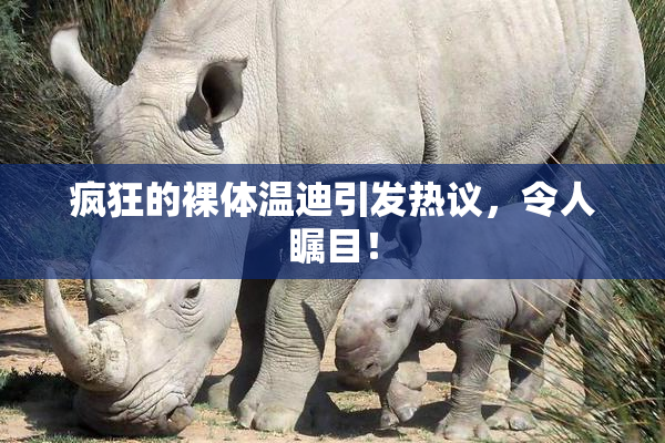 疯狂的裸体温迪引发热议，令人瞩目！