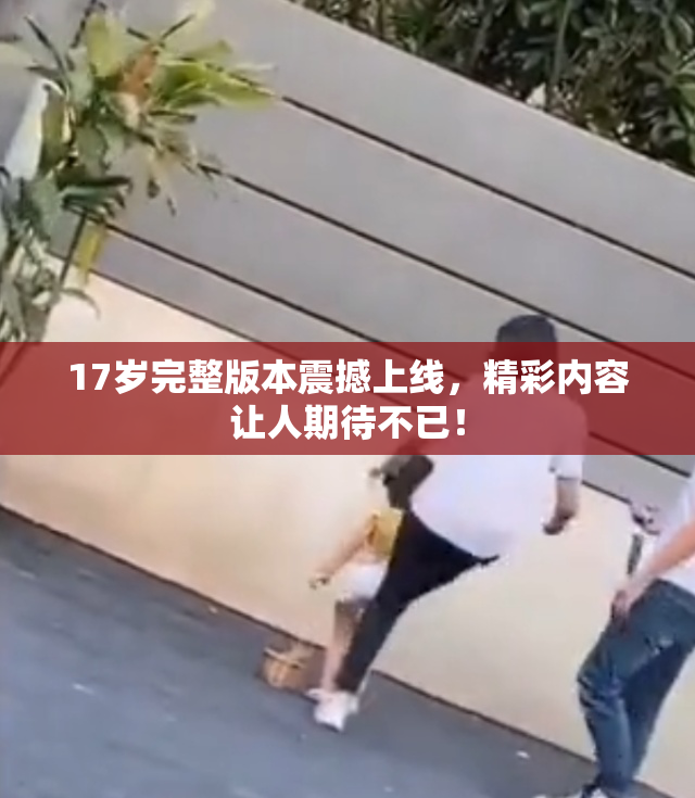 17岁完整版本震撼上线，精彩内容让人期待不已！