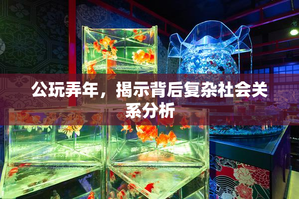 公玩弄年，揭示背后复杂社会关系分析