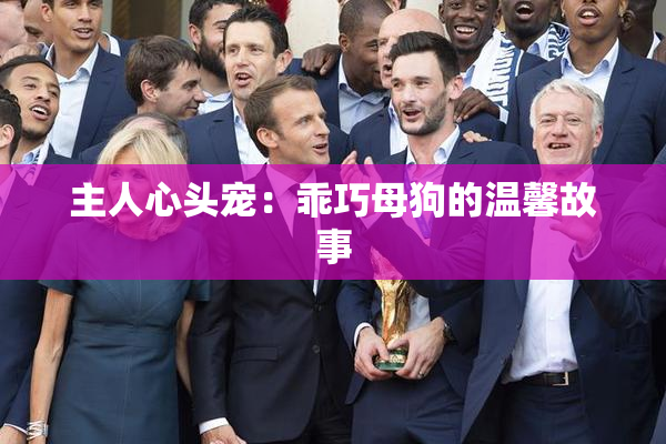 主人心头宠：乖巧母狗的温馨故事