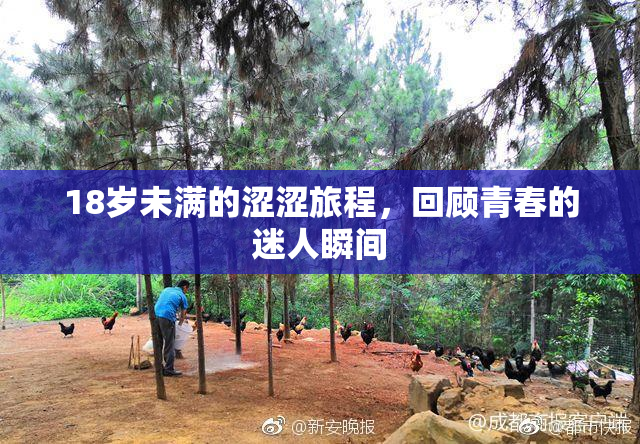 18岁未满的涩涩旅程，回顾青春的迷人瞬间