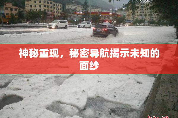 神秘重现，秘密导航揭示未知的面纱