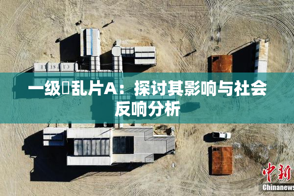 一级婬乱片A:探讨其影响与社会反响分析