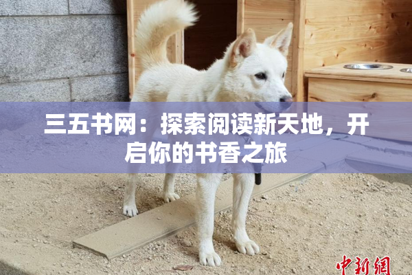 三五书网：探索阅读新天地，开启你的书香之旅