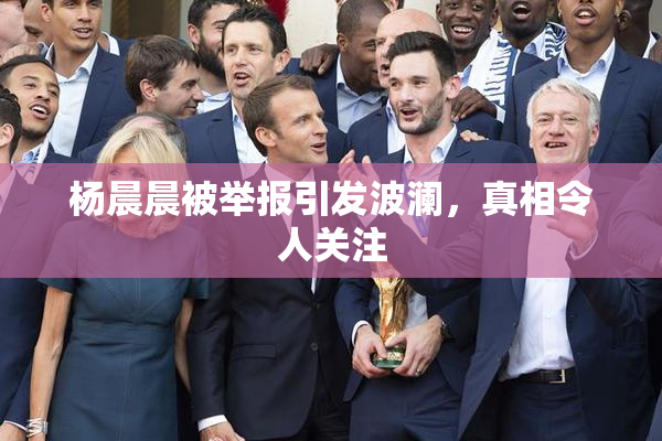 杨晨晨被举报引发波澜，真相令人关注