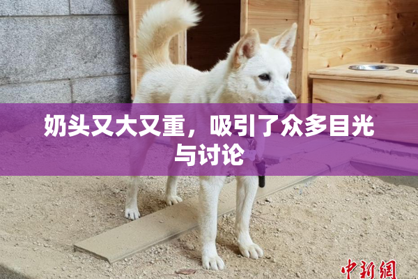 奶头又大又重,吸引了众多目光与讨论