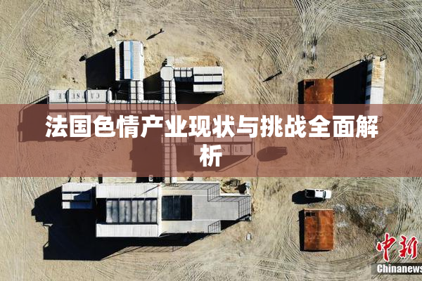 法国色情产业现状与挑战全面解析