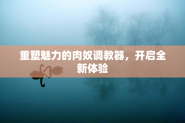 重塑魅力的肉奴调教器,开启全新体验