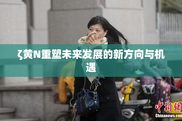 ζ黄Ν重塑未来发展的新方向与机遇