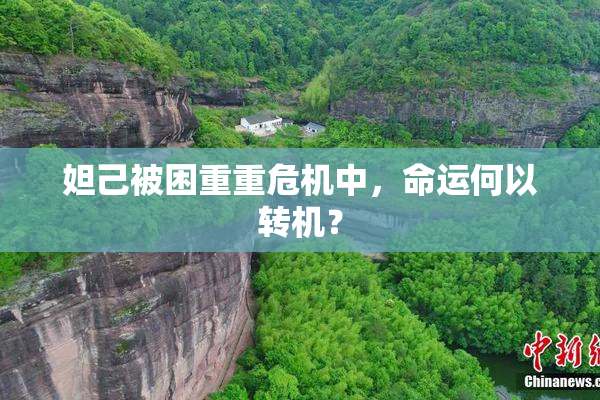 妲己被困重重危机中,命运何以转机?