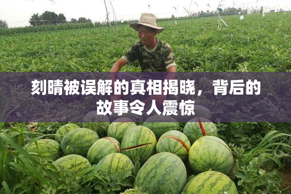 刻晴被误解的真相揭晓,背后的故事令人震惊