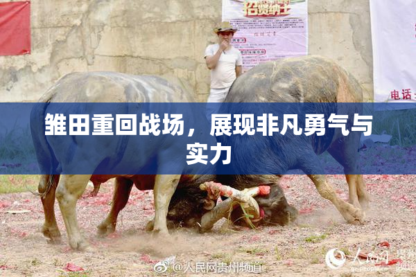 雏田重回战场,展现非凡勇气与实力