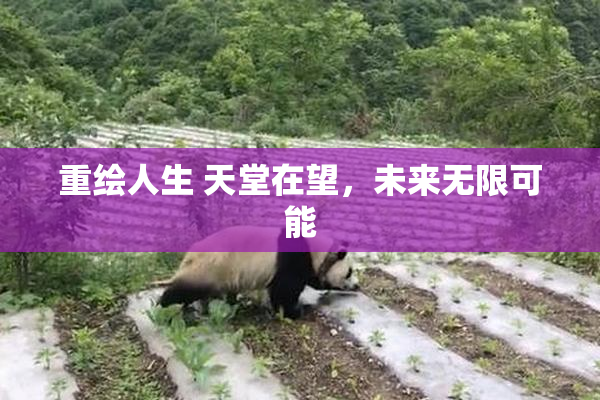 重绘人生 天堂在望,未来无限可能