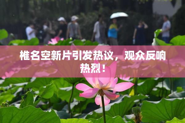 椎名空新片引发热议,观众反响热烈!