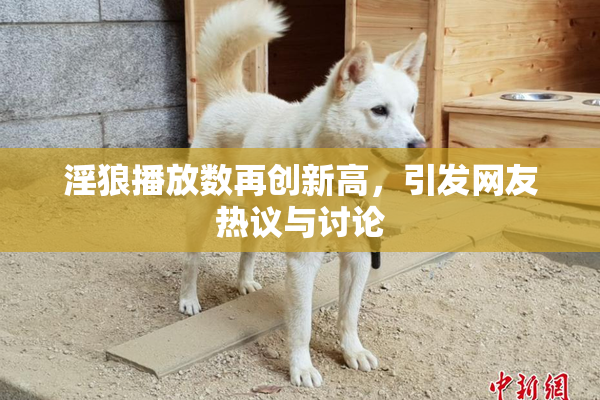 淫狼播放数再创新高,引发网友热议与讨论