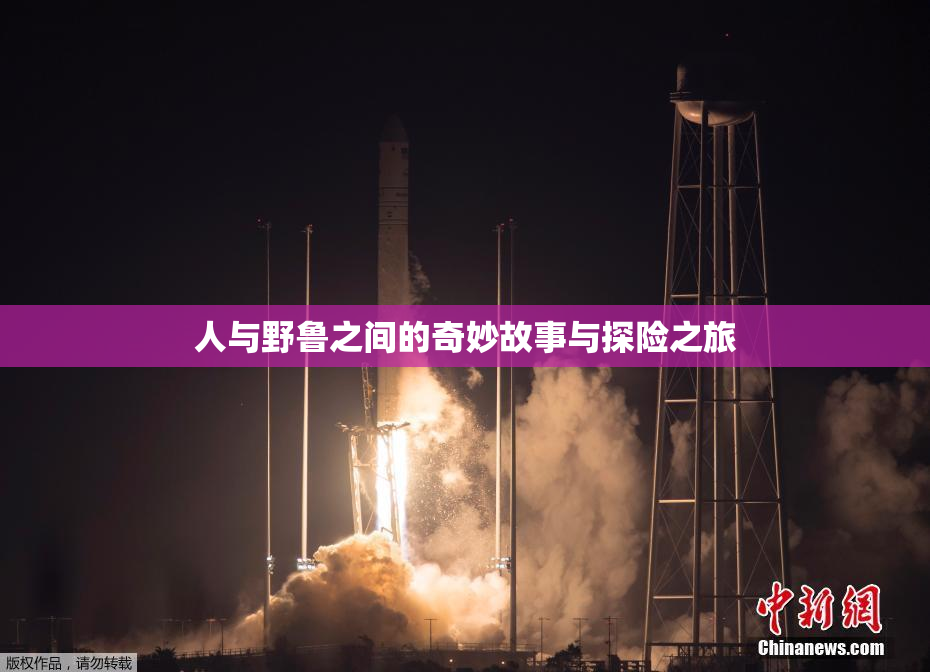 人与野鲁之间的奇妙故事与探险之旅