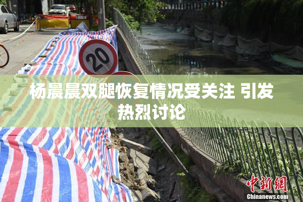 杨晨晨双腿恢复情况受关注 引发热烈讨论