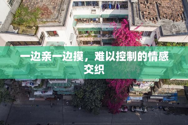 一边亲一边摸,难以控制的情感交织