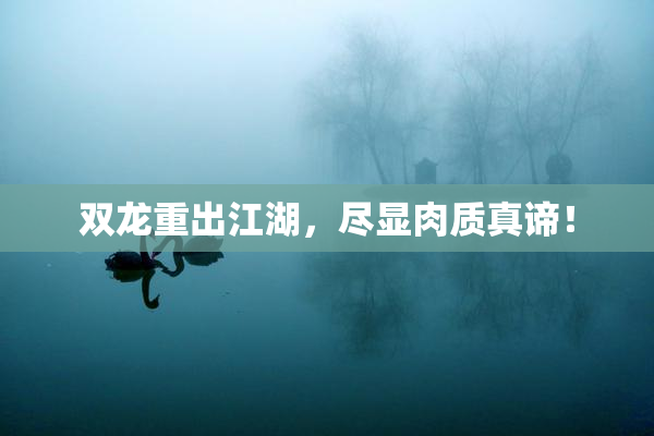 双龙重出江湖，尽显肉质真谛！