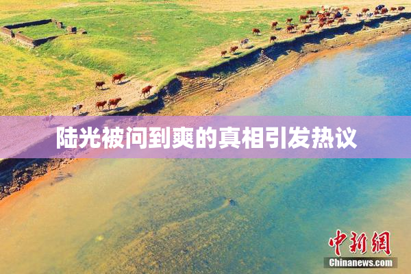 陆光被问到爽的真相引发热议