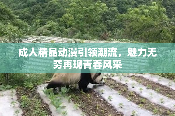 成人精品动漫引领潮流,魅力无穷再现青春风采