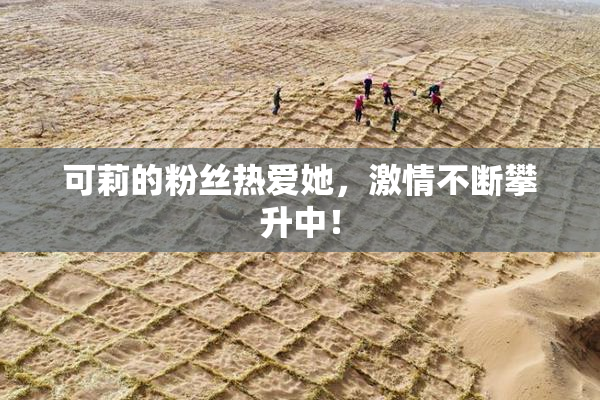 可莉的粉丝热爱她,激情不断攀升中!