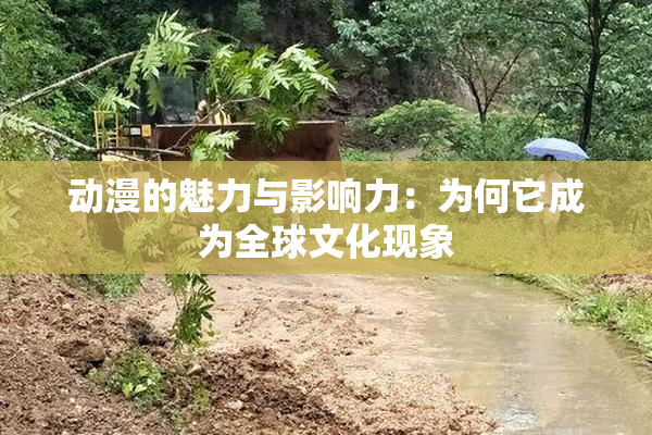 动漫的魅力与影响力：为何它成为全球文化现象