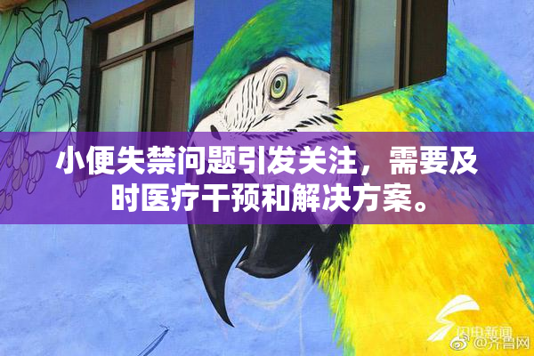小便失禁问题引发关注,需要及时医疗干预和解决方案。