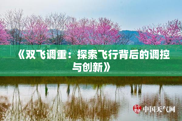 《双飞调重：探索飞行背后的调控与创新》