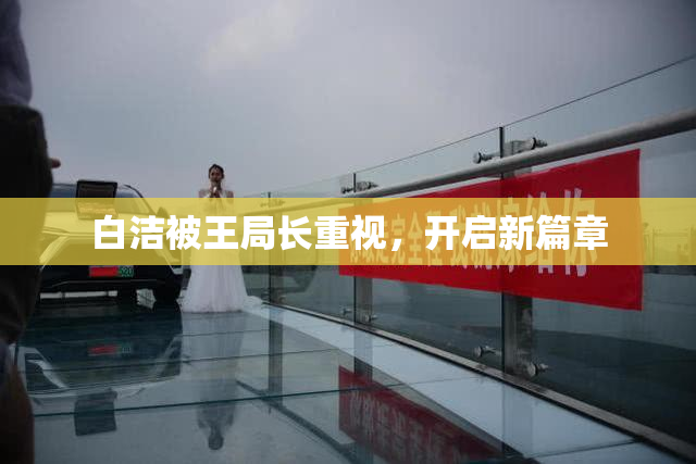 白洁被王局长重视,开启新篇章