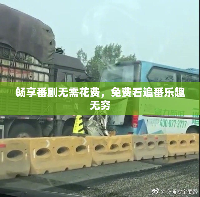 畅享番剧无需花费，免费看追番乐趣无穷