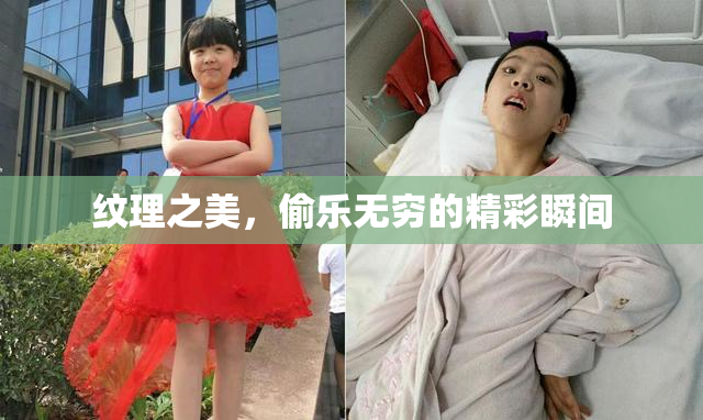纹理之美，偷乐无穷的精彩瞬间